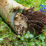 plumber near Irondequoit NY, sewer backup Irondequoit, sump pump problems Irondequoit, tree root clogged drain Irondequoit, basement flooding Irondequoit NY, water heater replacement Irondequoit NY, corroded clay pipes Irondequoit, sump pump failure near Lake Ontario, NDL Plumbing Irondequoit NY, electric water heater issues Irondequoit